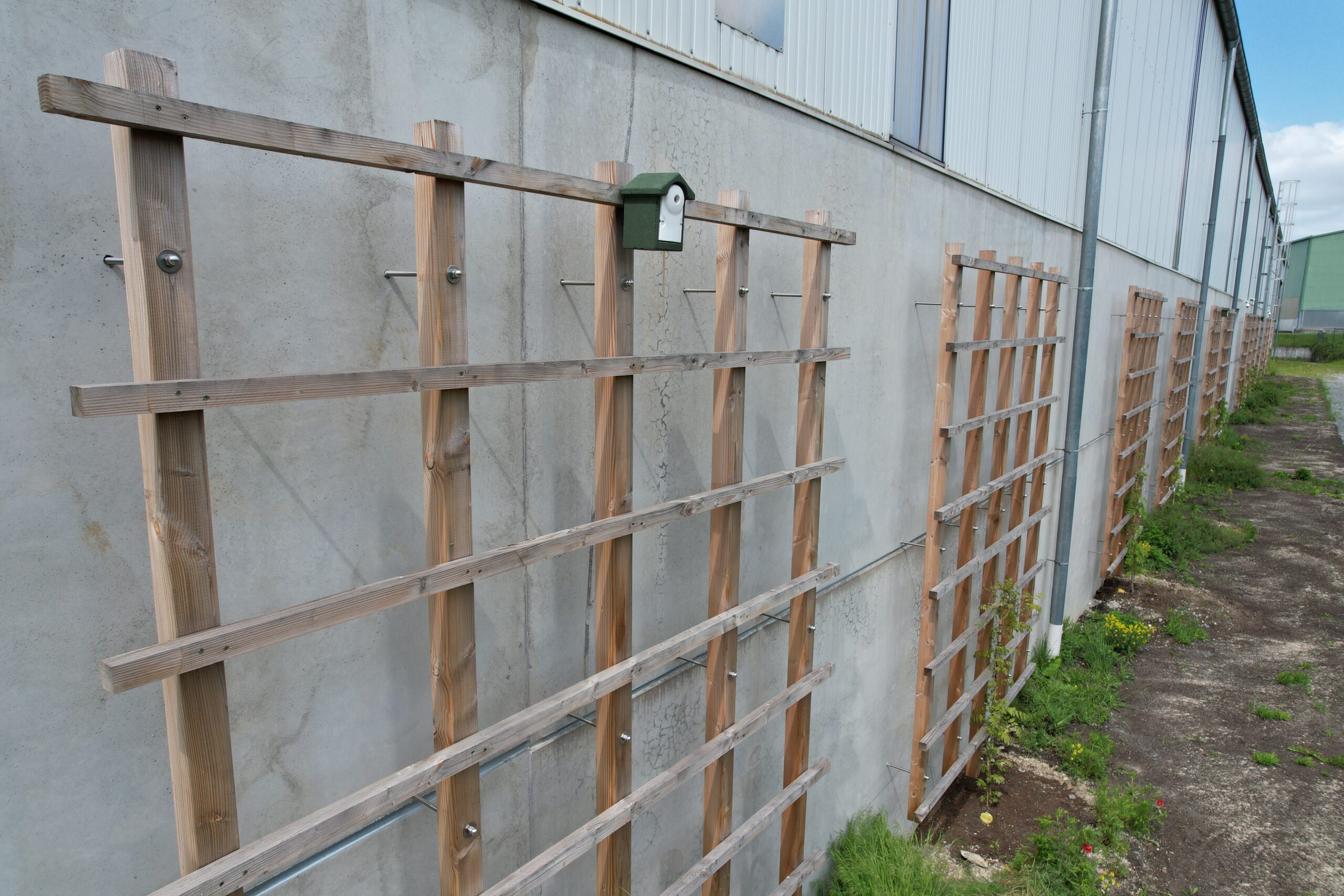 NEW BIRD NESTING BOXES AT ARGUS BIOTOPE new-bird-nesting-boxes-at-argus-biotope